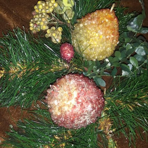 Hobby Lobby Holiday 2 Large Frosted Floral Fruit Picks Fall Christmas Poshmark